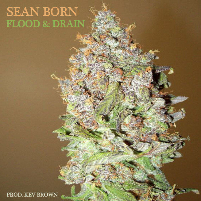 Free MP3: Sean Born – Flood & Drain (Prod. Kev Brown)