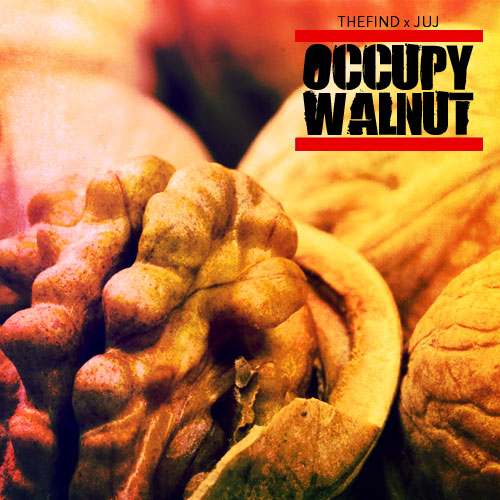 Guest Mix: Juj – Occupy Walnut Mix (2011)